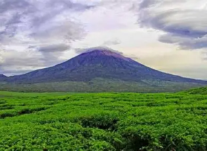 112 Pecatur Ikuti Turnamen Catur Bulanan Pengprov Percasi Jambi di Kerinci