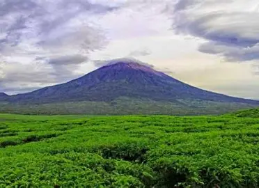 112 Pecatur Ikuti Turnamen Catur Bulanan Pengprov Percasi Jambi di Kerinci
