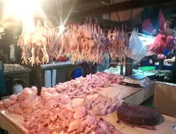 Mendag Budi Santoso Bantah MBG Jadi Penyebab Harga Ayam Naik, Rata-rata Nasional Rp40.259 per Kg