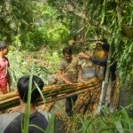 Wamenhut Ajak Semua Pihak Dukung Perhutanan Sosial untuk Hutan Lestari dan Kesejahteraan Masyarakat