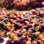 Tarif Global Trump Naik 15%, RI Upayakan Sawit hingga Tekstil Tetap 0% ke AS