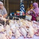 Harga Cabai Merah dan Ayam Broiler di Pasar Talang Banjar dan Kasang Turun