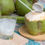 10 Rekomendasi Takjil Sehat dan Praktis untuk Berbuka Puasa Ramadan 2026, Lezat dan Bergizi