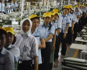 52 Persen Tenaga Kerja RI Lulusan SD