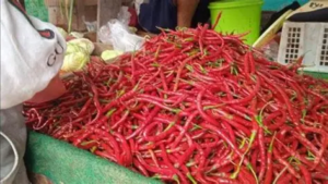 Jelang Ramadhan 2026, Harga Cabai di Pasar Angso Duo Naik hingga 25 Persen