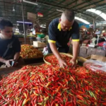 Jelang Ramadhan 2026, Harga Cabai di Pasar Talang Banjar Jambi Naik hingga 20 Persen