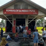 Agrinas Bangun 1.357 Kopdes Merah Putih, 30.500 Unit Dalam Proses, Target 80 Ribu Rampung 2026