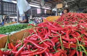 Jelang Ramadan, Harga Cabai Tembus Rp100.000 per Kg di Sejumlah Daerah