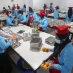 Lele Mentah Masuk Menu Makan Bergizi Gratis, Dapur MBG di Pamekasan Distop Sementara