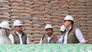 Bulog Pastikan Stok Beras dan Minyak Goreng Nasional Aman hingga Akhir 2026