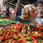 Harga Sembako Pasar Talang Banjar Jambi 6 Maret 2026: Cabe Rawit Hijau Turun 30 Persen