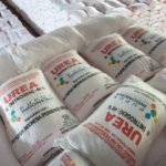 Pupuk Urea Indonesia Jadi Rebutan Dunia, Produksi Capai 9,4 Juta Ton per Tahun