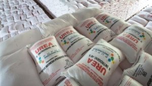 Pupuk Urea Indonesia Jadi Rebutan Dunia, Produksi Capai 9,4 Juta Ton per Tahun