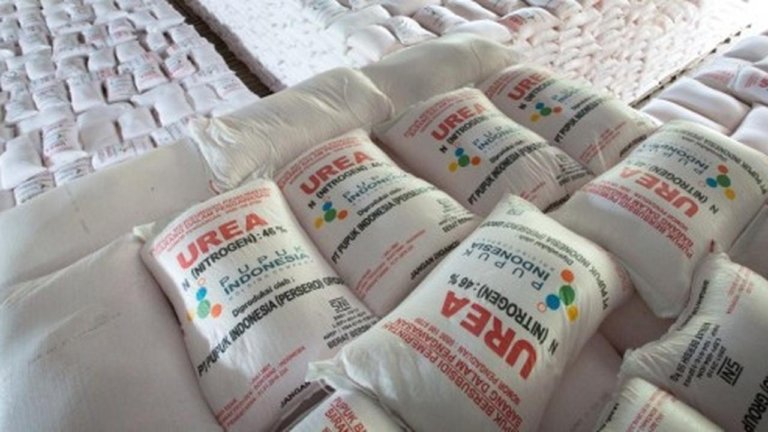 Pupuk Urea Indonesia Jadi Rebutan Dunia, Produksi Capai 9,4 Juta Ton per Tahun