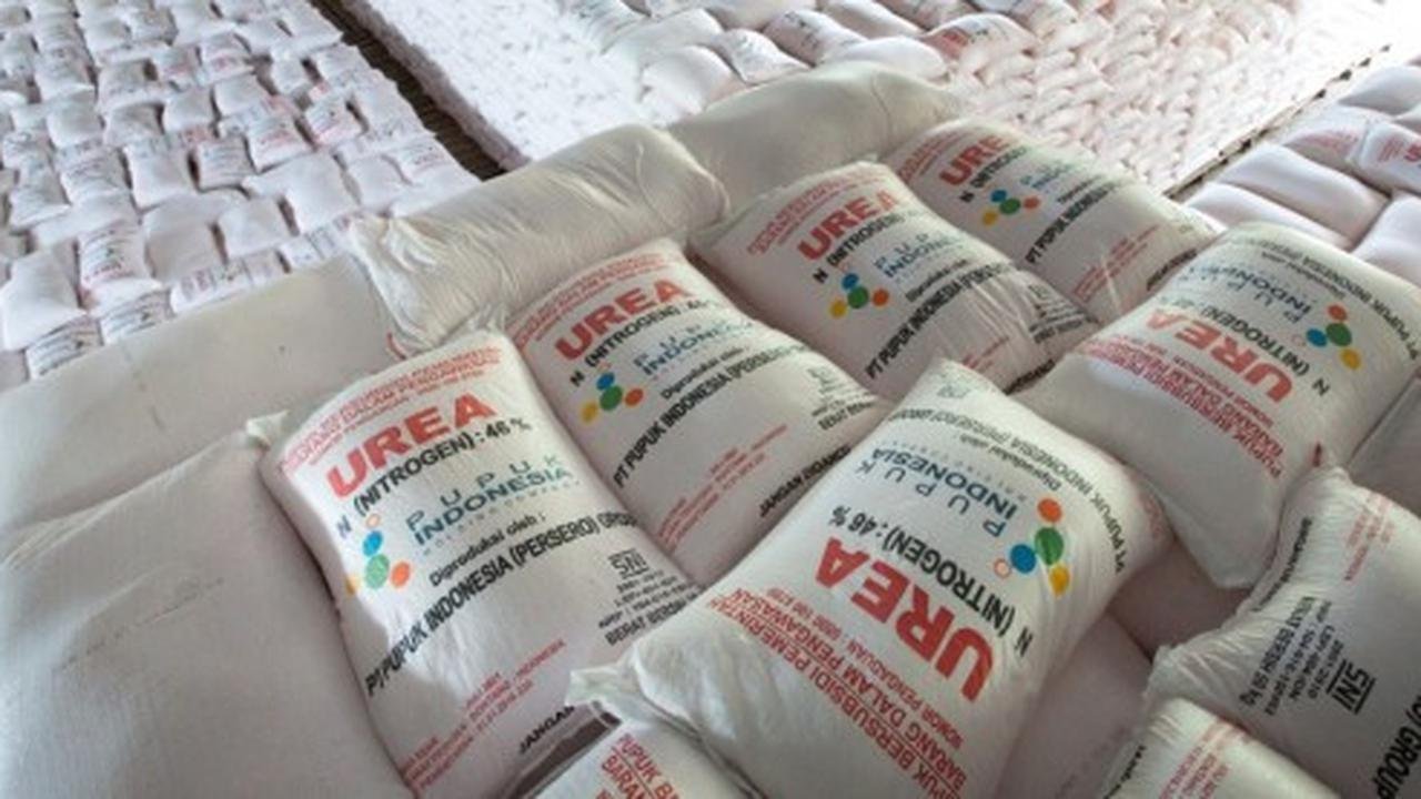 Pupuk Urea Indonesia Jadi Rebutan Dunia, Produksi Capai 9,4 Juta Ton per Tahun