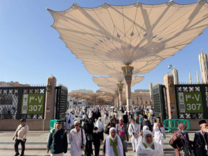 54.604 Jemaah Haji RI Sudah Tiba di Arab Saudi, 4 Wafat di Madinah