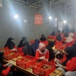 Saat Ibu Bekerja, Anak Perempuan Punya Peluang Sekolah Lebih Tinggi