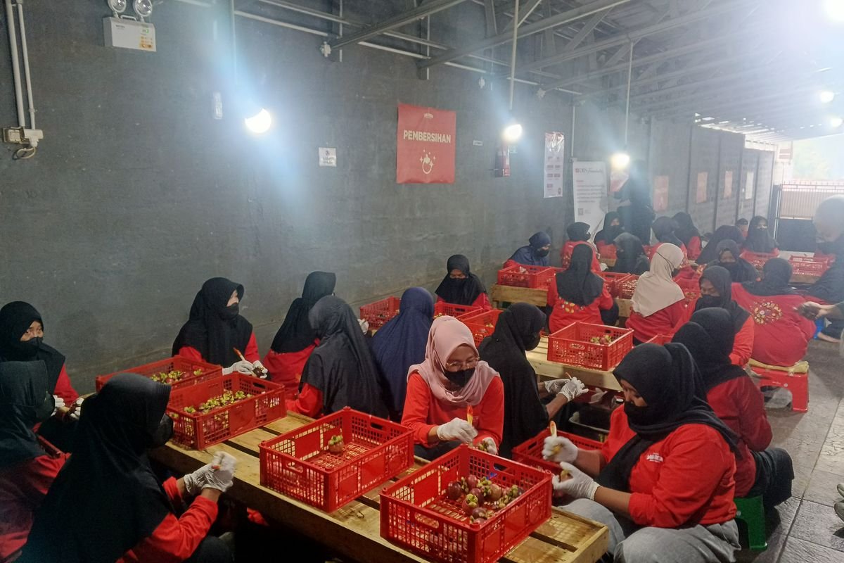 Saat Ibu Bekerja, Anak Perempuan Punya Peluang Sekolah Lebih Tinggi