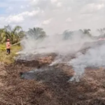 Karhutla Intai Sumatera, Polisi Tangkap 21 Tersangka di Jambi dan Riau