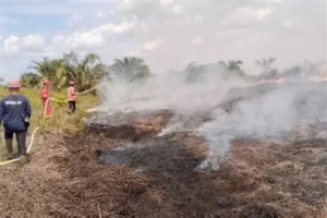 Karhutla Intai Sumatera, Polisi Tangkap 21 Tersangka di Jambi dan Riau