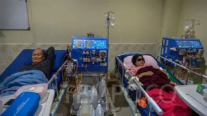 Pasien Cuci Darah Wajib Tahu: Ini Daftar Makanan yang Harus Dihindari