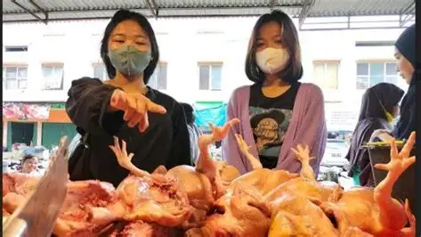 Harga Daging Ayam Broiler Naik 14,29 Persen di Pasar Angso Duo, Kini Rp35.000 per Kg
