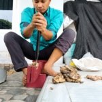 Tak Harus Punya Kebun! Ini 5 Peluang Bisnis Sawit, Karet, dan Pinang di Jambi 2026