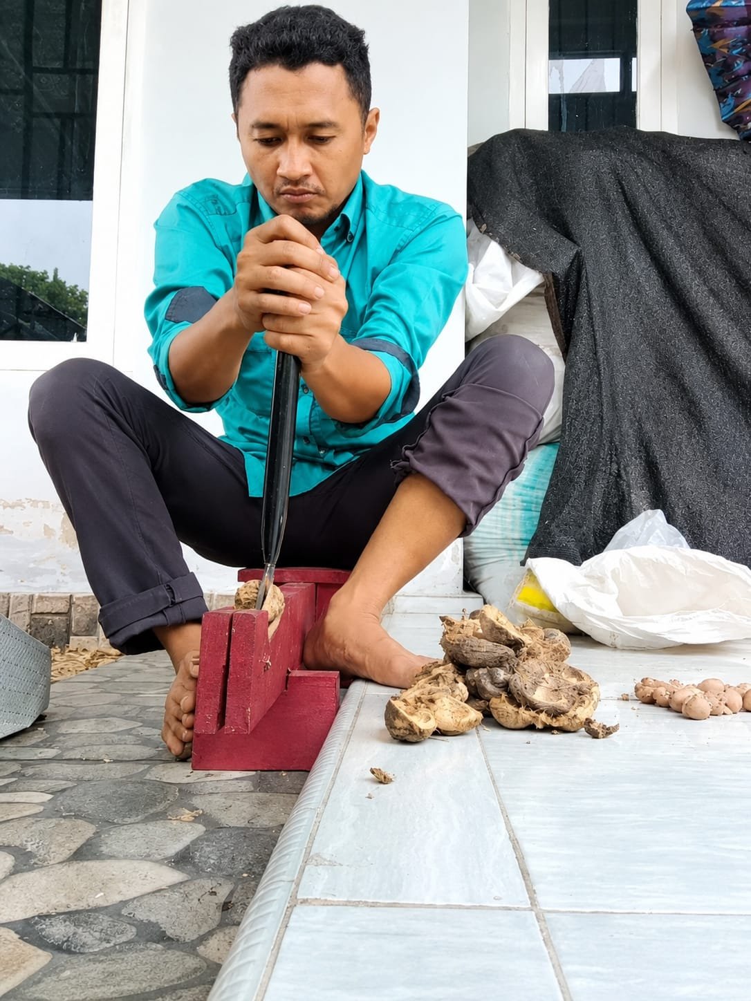 Tak Harus Punya Kebun! Ini 5 Peluang Bisnis Sawit, Karet, dan Pinang di Jambi 2026