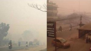 ISPU Kota Jambi Tembus 204 Hari Ini, Udara Masuk Kategori Sangat Tidak Sehat akibat Kabut Asap