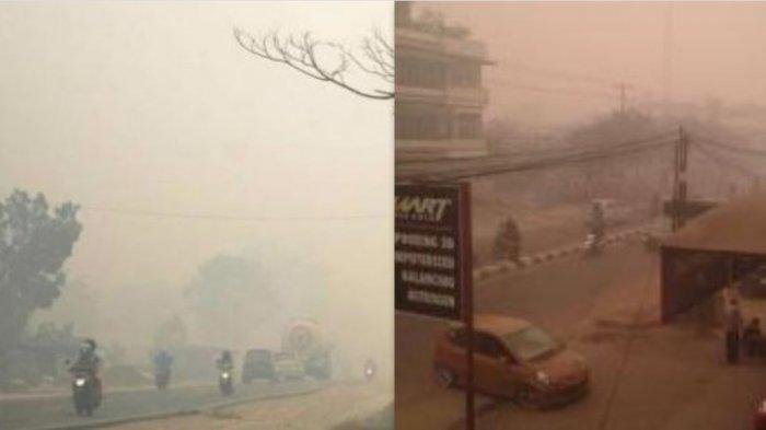 ISPU Kota Jambi Tembus 204 Hari Ini, Udara Masuk Kategori Sangat Tidak Sehat akibat Kabut Asap