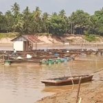 Sungai Batanghari Surut Drastis, Ikan Keramba Mati dan Hamparan Pasir Mulai Muncul