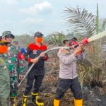 Karhutla Sungai Gelam Belum Padam, Aktivitas Ekonomi dan UMKM Warga Mulai Terancam