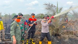 Karhutla Sungai Gelam Belum Padam, Aktivitas Ekonomi dan UMKM Warga Mulai Terancam