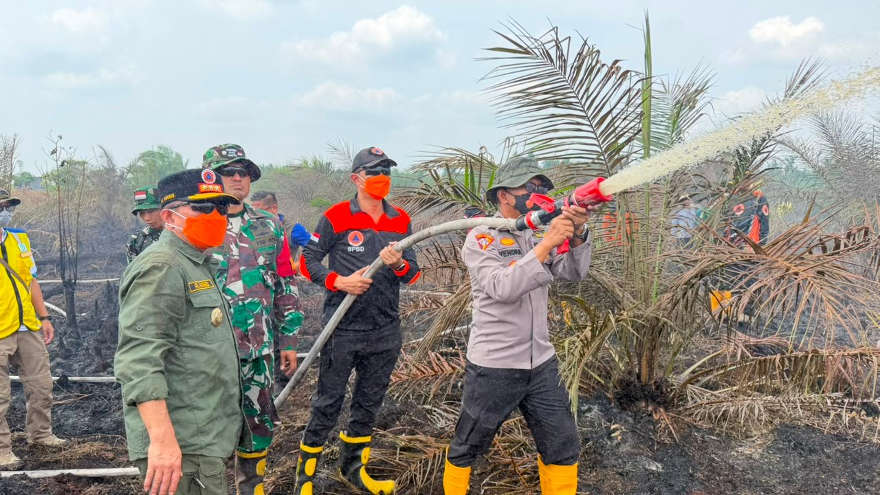 Karhutla Sungai Gelam Belum Padam, Aktivitas Ekonomi dan UMKM Warga Mulai Terancam