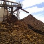 Jangan Dibuang! Limbah Sawit Ternyata Bisa Jadi Ladang Cuan Baru bagi UMKM