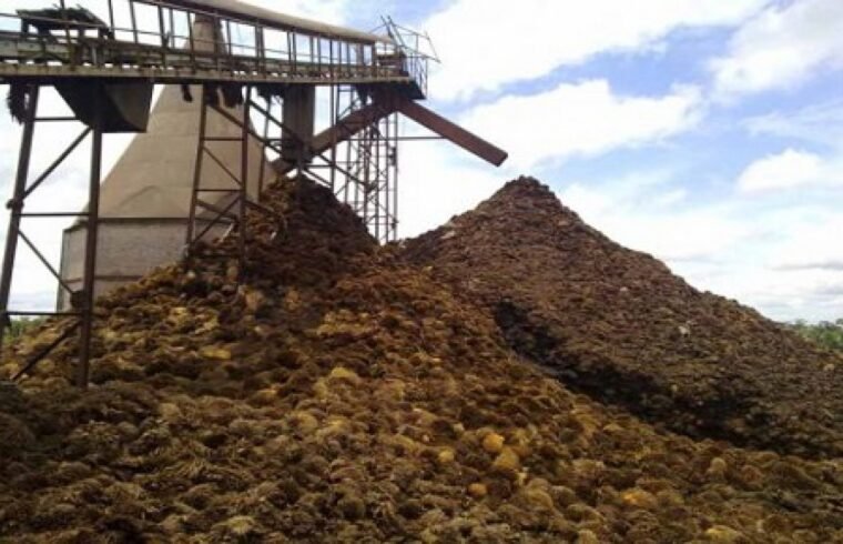 Jangan Dibuang! Limbah Sawit Ternyata Bisa Jadi Ladang Cuan Baru bagi UMKM