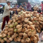 Peluang Bisnis Olahan Kelapa di Tanjung Jabung Timur, Cara Menghitung Nilai Tambah Sebelum Produksi