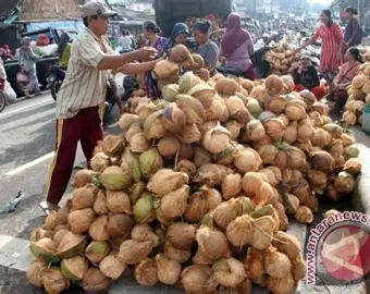 Peluang Bisnis Olahan Kelapa di Tanjung Jabung Timur, Cara Menghitung Nilai Tambah Sebelum Produksi