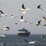 8 Kapal Tanker Tembus Blokade Selat Hormuz, Sebagian Bawa Minyak ke Asia Tenggara