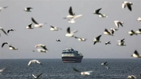 8 Kapal Tanker Tembus Blokade Selat Hormuz, Sebagian Bawa Minyak ke Asia Tenggara