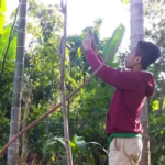 Inilah 19 Desa di Jambi yang Belum Tersentuh Akses Internet, Terbanyak di Sarolangun