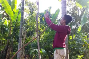 Inilah 19 Desa di Jambi yang Belum Tersentuh Akses Internet, Terbanyak di Sarolangun