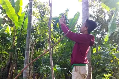 Inilah 19 Desa di Jambi yang Belum Tersentuh Akses Internet, Terbanyak di Sarolangun