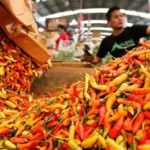 Harga Cabai Rawit Merah di Pasar Angso Duo Naik 16,67 Persen, Tembus Rp60.000 per Kg