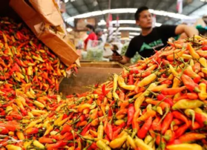 Harga Cabai Rawit Merah di Pasar Angso Duo Naik 16,67 Persen, Tembus Rp60.000 per Kg