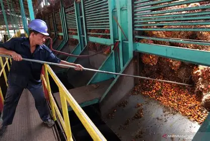 Investasi Industri Mengalir, UMKM Batang Hari Bisa Masuk dari Jalur Ini