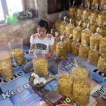 Keripik Pisang hingga Olahan Ikan Punya Peluang Naik Kelas