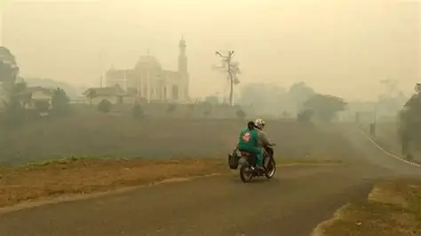 Kabut Asap Mulai Tekan Ekonomi Jambi, Omzet UMKM dan Pengunjung Pasar Terancam Turun