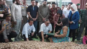 Singapura Tetap Jadi Pasar Utama Ekspor Jambi, Serap 43 Persen Nilai Perdagangan