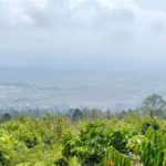 Kabut Asap Masih Menyelimuti Sejumlah Wilayah Jambi Hari Ini, Sungai Penuh dan Kerinci Paling Terpengaruh
